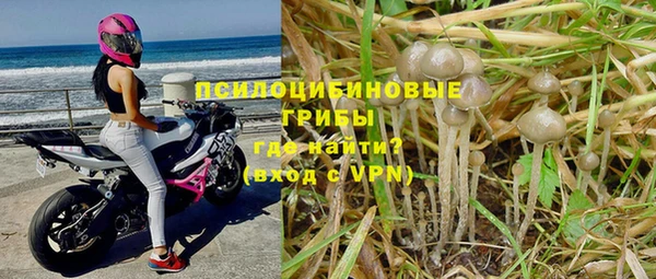 ГАЛЛЮЦИНОГЕННЫЕ ГРИБЫ Снежногорск