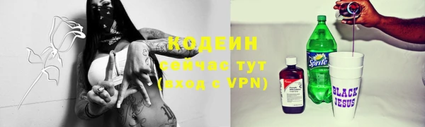 индика Снежинск