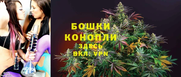 индика Снежинск