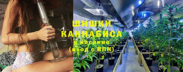ГАЛЛЮЦИНОГЕННЫЕ ГРИБЫ Снежногорск