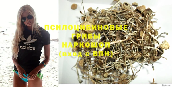 мдпв Гусиноозёрск