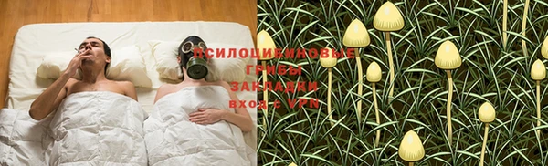 шишки Гусев