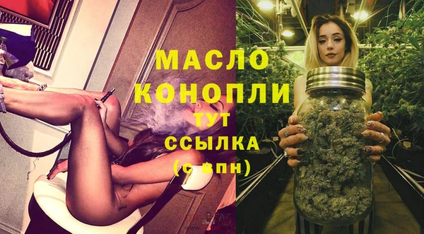 индика Снежинск