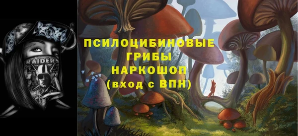 шишки Гусев