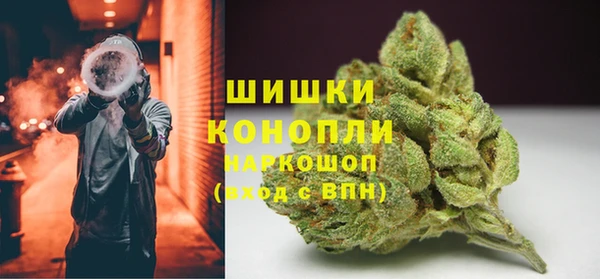 ГАЛЛЮЦИНОГЕННЫЕ ГРИБЫ Снежногорск