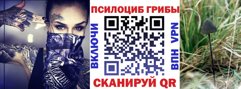 Галлюциногенные грибы Psilocybe Семёнов